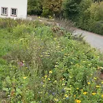 Semesterbostad 