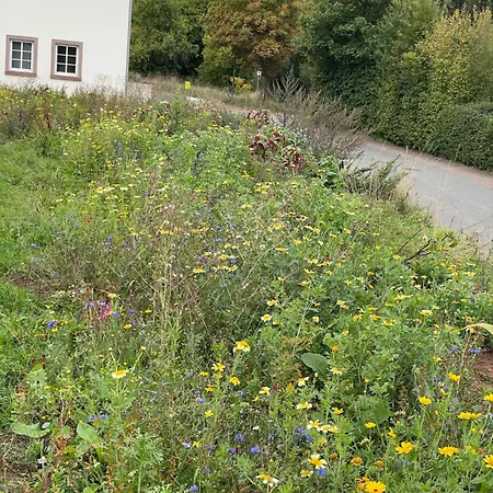 Ferienhaus Backhaus-vulkaneifel, Gerolstein E-bikes, Hunde Ok Oberbettingen
