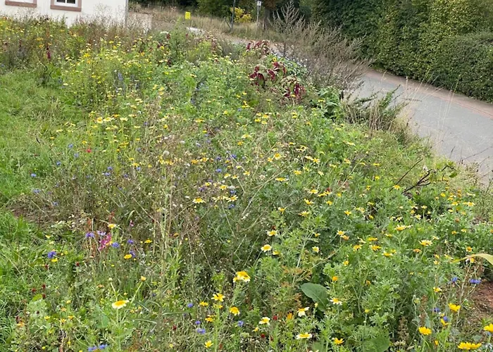 Hébergement de vacances 