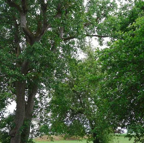 Hébergement de vacances 